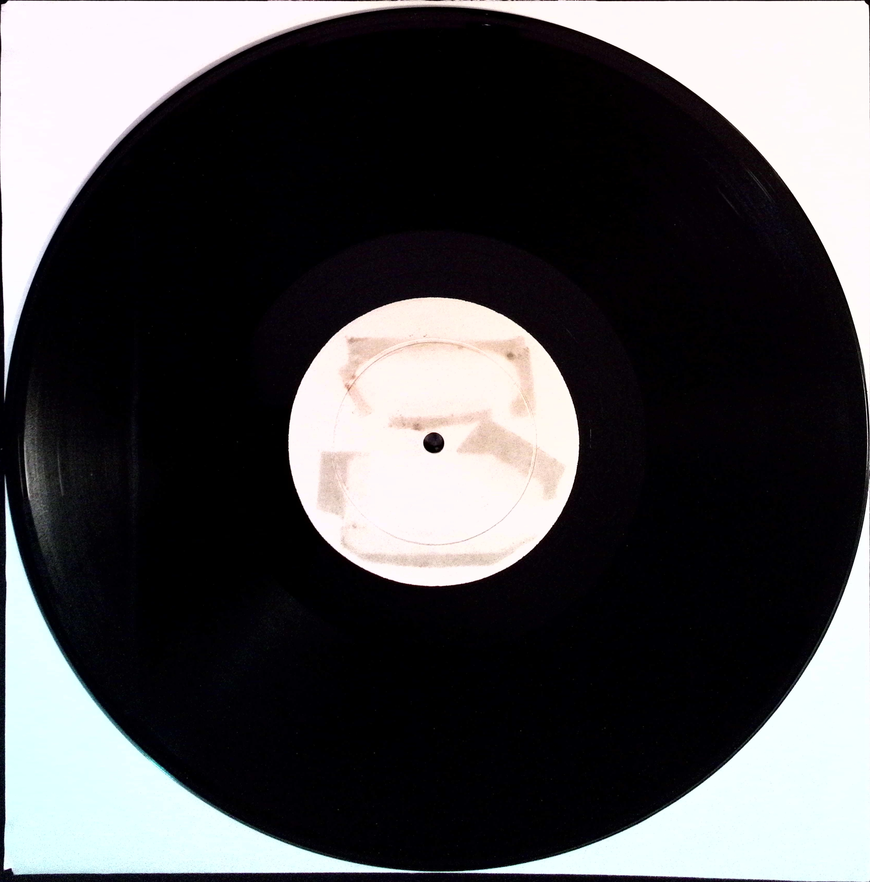 The Beatles - Renaissance Minstrels Volume 1