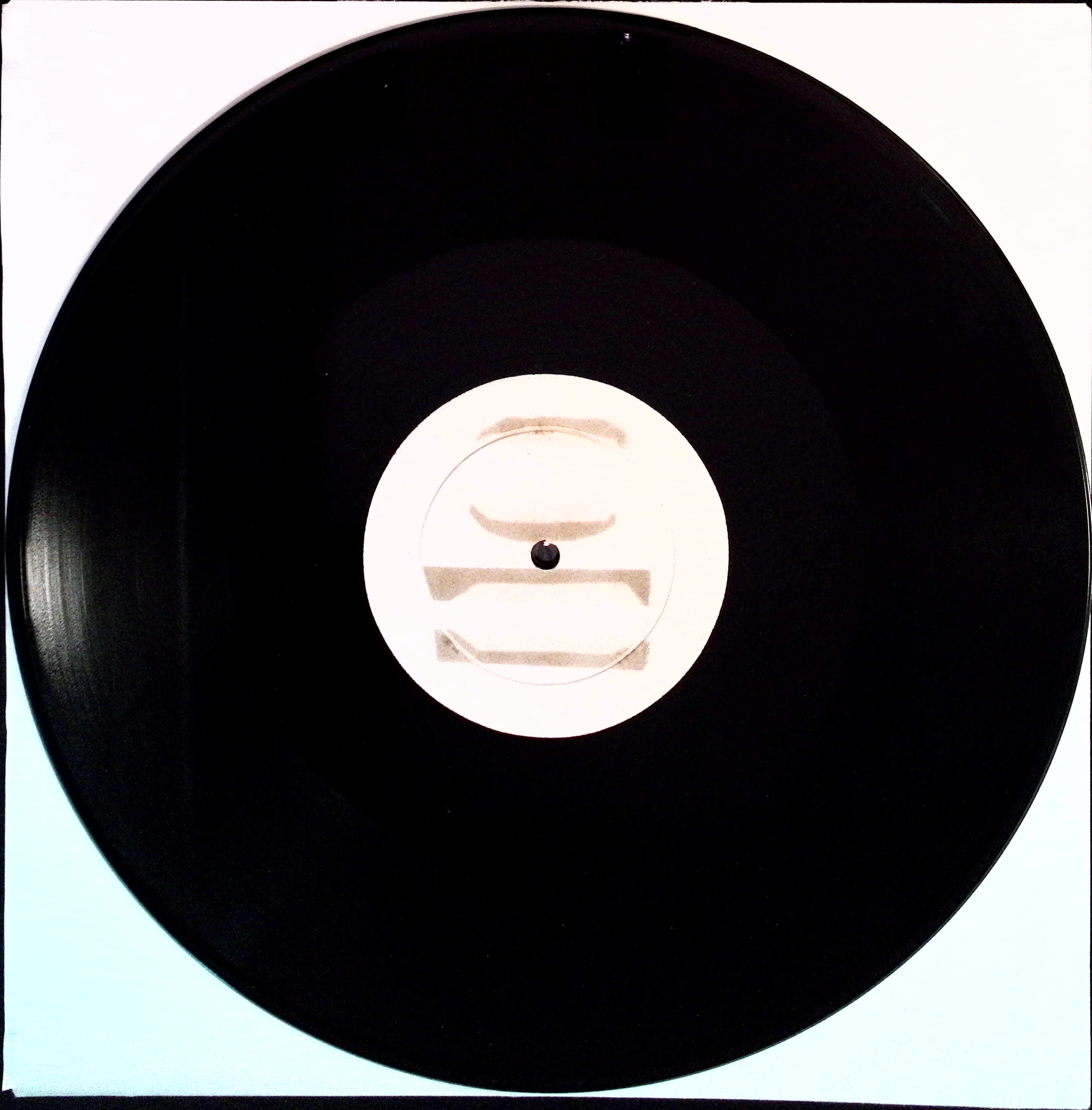 The Beatles - Renaissance Minstrels Volume 1